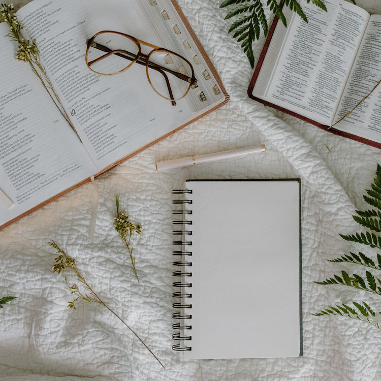 Bible Study / Book Club Collection