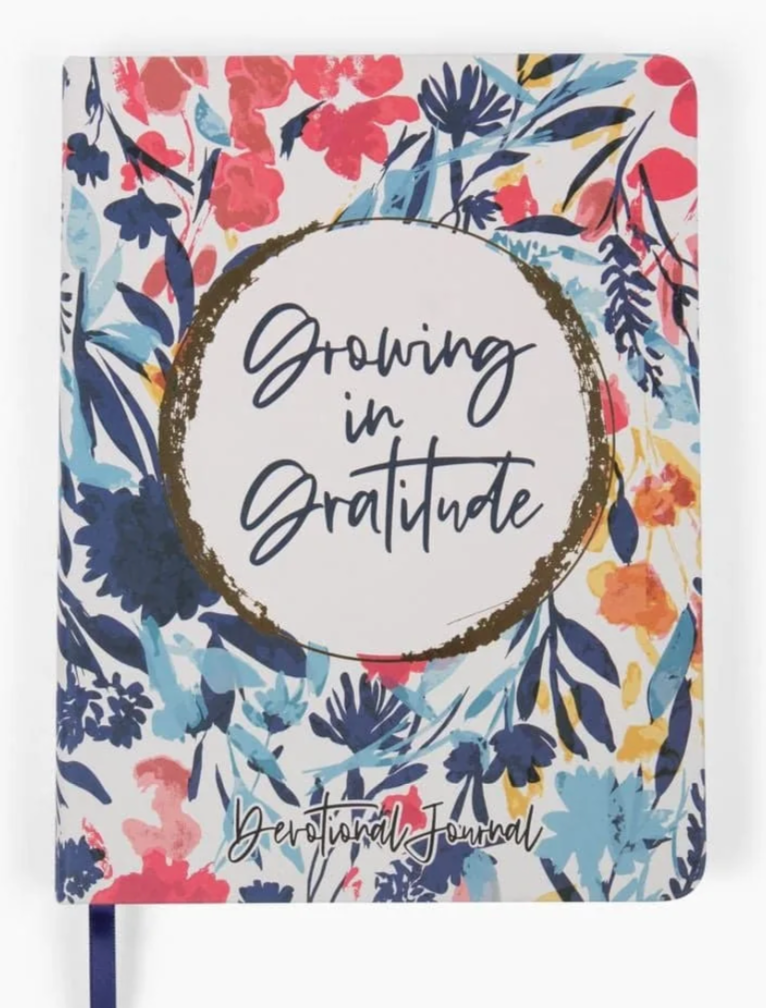 Everyday Faith Growing in Gratitude Edition